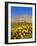 Chateau De Versailles, Ile De France, France, Europe-Guy Thouvenin-Framed Photographic Print