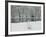 Chateau de Vizille Park, Swan Lake, Vizille, Isere, French Alps, France-Walter Bibikow-Framed Photographic Print