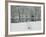 Chateau de Vizille Park, Swan Lake, Vizille, Isere, French Alps, France-Walter Bibikow-Framed Photographic Print