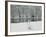 Chateau de Vizille Park, Swan Lake, Vizille, Isere, French Alps, France-Walter Bibikow-Framed Photographic Print