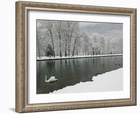 Chateau de Vizille Park, Swan Lake, Vizille, Isere, French Alps, France-Walter Bibikow-Framed Photographic Print