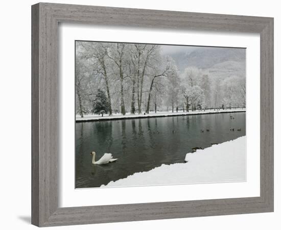 Chateau de Vizille Park, Swan Lake, Vizille, Isere, French Alps, France-Walter Bibikow-Framed Photographic Print