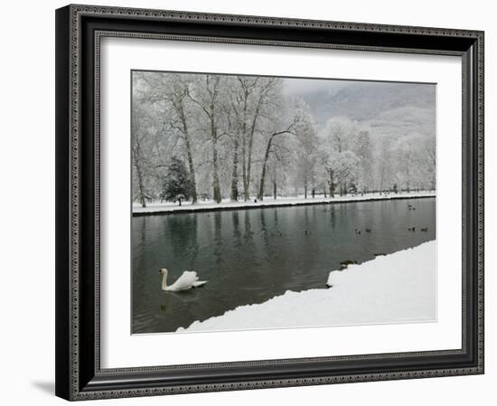 Chateau de Vizille Park, Swan Lake, Vizille, Isere, French Alps, France-Walter Bibikow-Framed Photographic Print