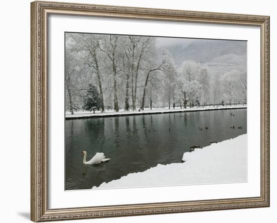 Chateau de Vizille Park, Swan Lake, Vizille, Isere, French Alps, France-Walter Bibikow-Framed Photographic Print