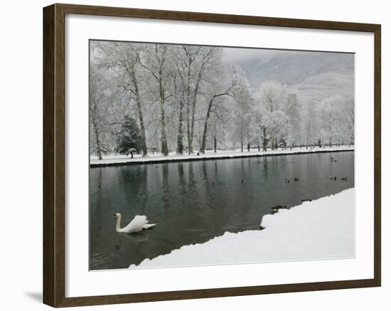 Chateau de Vizille Park, Swan Lake, Vizille, Isere, French Alps, France-Walter Bibikow-Framed Photographic Print