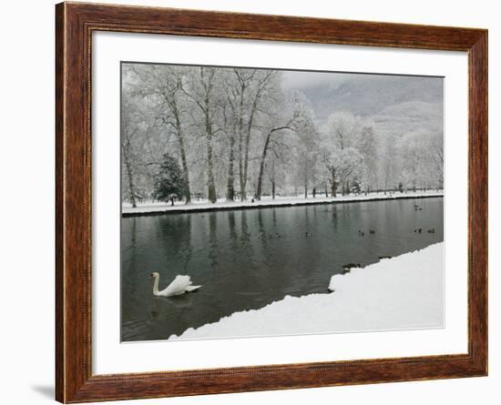 Chateau de Vizille Park, Swan Lake, Vizille, Isere, French Alps, France-Walter Bibikow-Framed Photographic Print