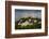 Chateau Gaillard, Les Andelys, Eure, Normandy, France-Charles Bowman-Framed Photographic Print