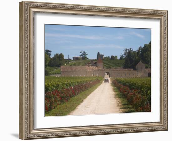 Chateau Grand Mayne and Vineyard, Saint Emilion Grand Cru Classe, Saint Emilion, Bordeaux, France-Per Karlsson-Framed Photographic Print