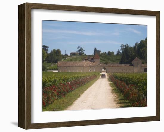 Chateau Grand Mayne and Vineyard, Saint Emilion Grand Cru Classe, Saint Emilion, Bordeaux, France-Per Karlsson-Framed Photographic Print