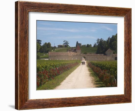 Chateau Grand Mayne and Vineyard, Saint Emilion Grand Cru Classe, Saint Emilion, Bordeaux, France-Per Karlsson-Framed Photographic Print