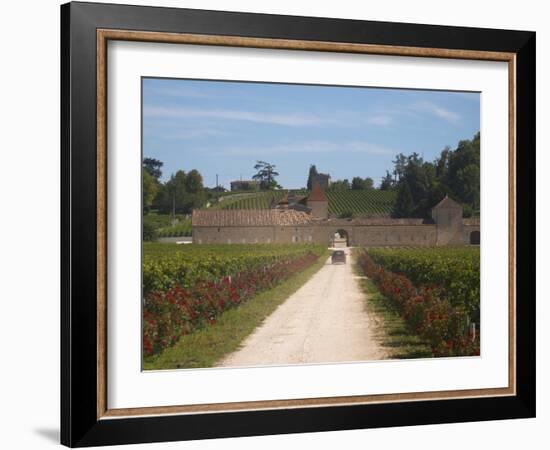 Chateau Grand Mayne and Vineyard, Saint Emilion Grand Cru Classe, Saint Emilion, Bordeaux, France-Per Karlsson-Framed Photographic Print