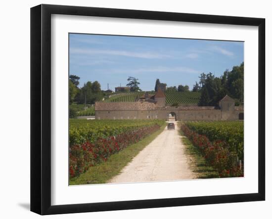 Chateau Grand Mayne and Vineyard, Saint Emilion Grand Cru Classe, Saint Emilion, Bordeaux, France-Per Karlsson-Framed Photographic Print