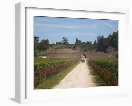 Chateau Grand Mayne and Vineyard, Saint Emilion Grand Cru Classe, Saint Emilion, Bordeaux, France-Per Karlsson-Framed Photographic Print