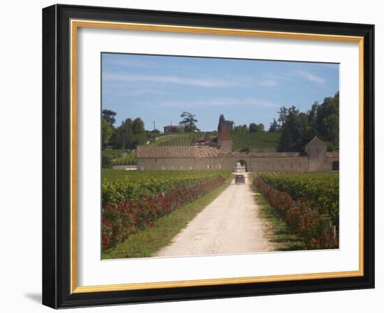 Chateau Grand Mayne and Vineyard, Saint Emilion Grand Cru Classe, Saint Emilion, Bordeaux, France-Per Karlsson-Framed Photographic Print