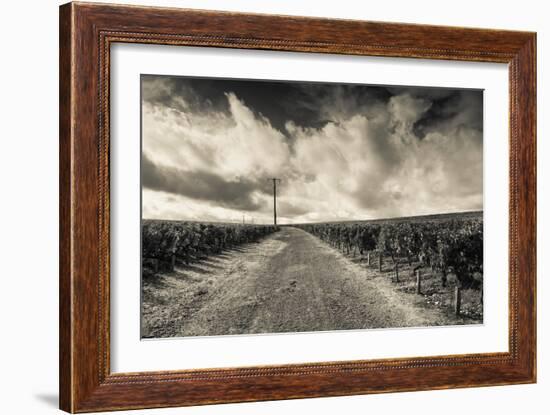 Chateau Lafite Rothschild Vineyards in Autumn, Pauillac, Haut Medoc, Gironde, Aquitaine, France-null-Framed Photographic Print