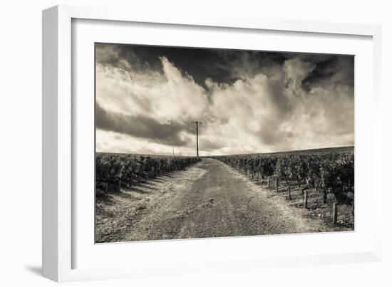 Chateau Lafite Rothschild Vineyards in Autumn, Pauillac, Haut Medoc, Gironde, Aquitaine, France-null-Framed Photographic Print