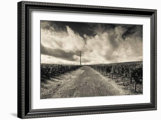 Chateau Lafite Rothschild Vineyards in Autumn, Pauillac, Haut Medoc, Gironde, Aquitaine, France-null-Framed Photographic Print