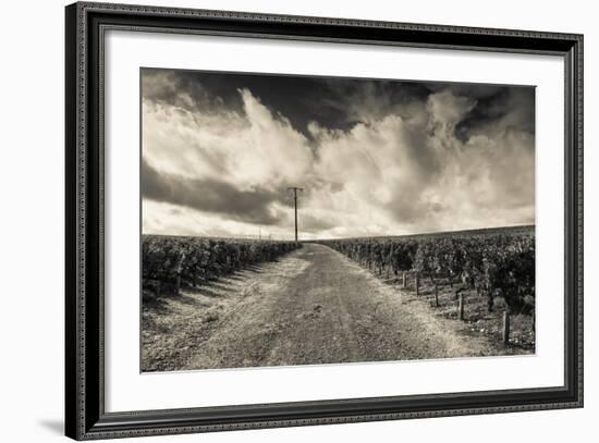 Chateau Lafite Rothschild Vineyards in Autumn, Pauillac, Haut Medoc, Gironde, Aquitaine, France-null-Framed Photographic Print