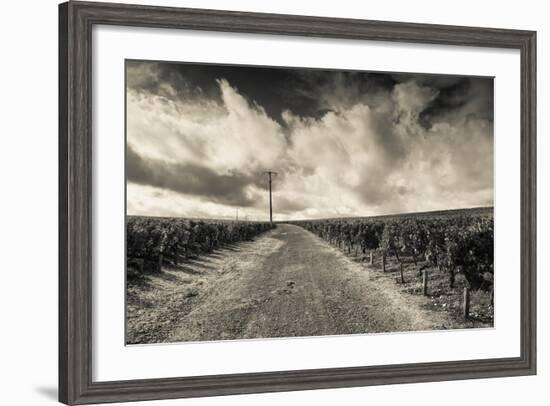 Chateau Lafite Rothschild Vineyards in Autumn, Pauillac, Haut Medoc, Gironde, Aquitaine, France-null-Framed Photographic Print