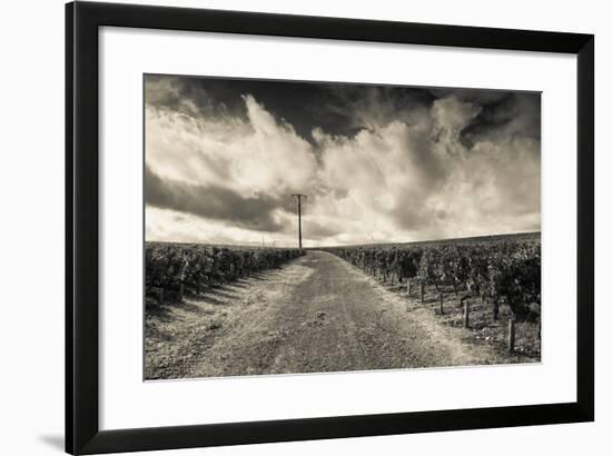 Chateau Lafite Rothschild Vineyards in Autumn, Pauillac, Haut Medoc, Gironde, Aquitaine, France-null-Framed Photographic Print