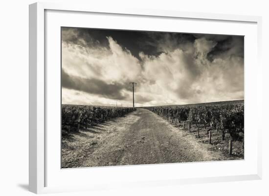 Chateau Lafite Rothschild Vineyards in Autumn, Pauillac, Haut Medoc, Gironde, Aquitaine, France-null-Framed Photographic Print