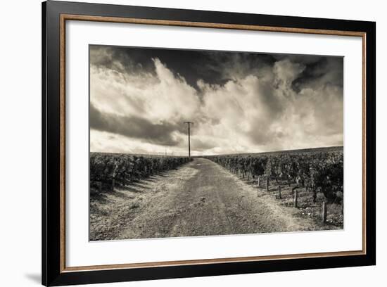 Chateau Lafite Rothschild Vineyards in Autumn, Pauillac, Haut Medoc, Gironde, Aquitaine, France-null-Framed Photographic Print