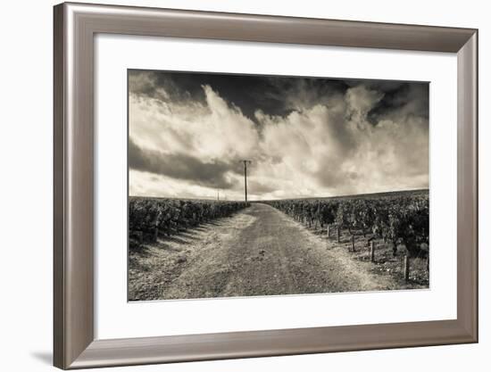 Chateau Lafite Rothschild Vineyards in Autumn, Pauillac, Haut Medoc, Gironde, Aquitaine, France-null-Framed Photographic Print