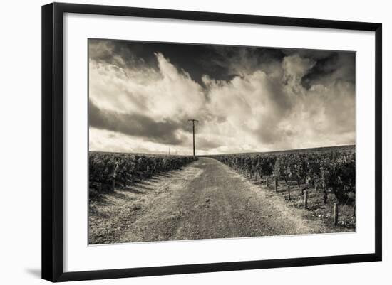 Chateau Lafite Rothschild Vineyards in Autumn, Pauillac, Haut Medoc, Gironde, Aquitaine, France-null-Framed Photographic Print