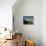 Chateau Montreuil Bellay, Near Saumur, Western Loire, Loire Valley, France-Michael Busselle-Mounted Photographic Print displayed on a wall