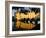 Chateau of Chenonceau, Indre Et Loire, Loire Valley, France-Bruno Morandi-Framed Photographic Print