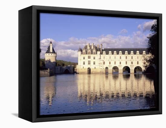 Chateau of Chenonceau, Indre Et Loire, Pays De Loire, Loire Valley, France, Europe-Bruno Morandi-Framed Premier Image Canvas