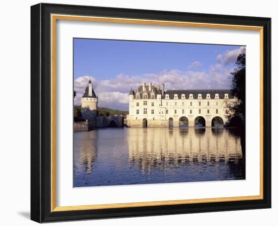 Chateau of Chenonceau, Indre Et Loire, Pays De Loire, Loire Valley, France, Europe-Bruno Morandi-Framed Photographic Print