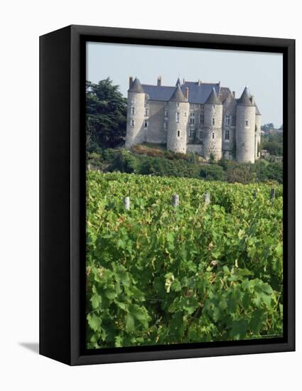 Chateau of Luynes, Indre Et Loire, Loire Centre, Loire Valley, France-Michael Busselle-Framed Premier Image Canvas
