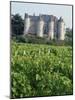 Chateau of Luynes, Indre Et Loire, Loire Centre, Loire Valley, France-Michael Busselle-Mounted Photographic Print