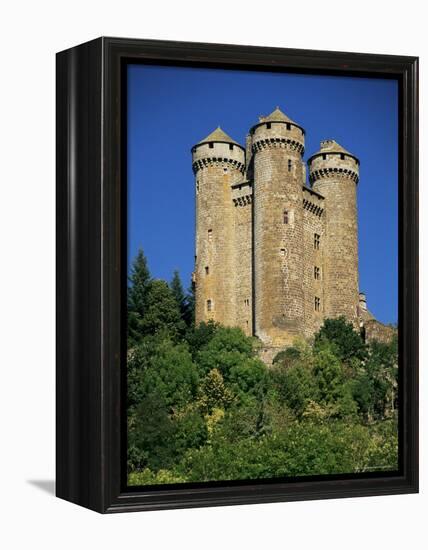 Chateau of Tournemire, Cantal, Auvergne, France-Michael Busselle-Framed Premier Image Canvas