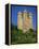 Chateau of Tournemire, Cantal, Auvergne, France-Michael Busselle-Framed Premier Image Canvas