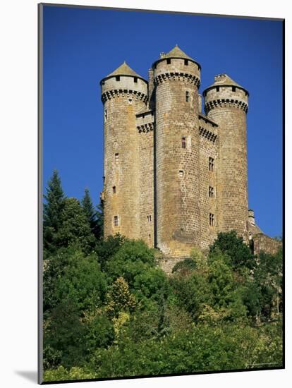 Chateau of Tournemire, Cantal, Auvergne, France-Michael Busselle-Mounted Photographic Print