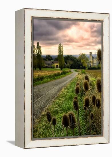 Chateau Tauzia Thistles-Colby Chester-Framed Premier Image Canvas