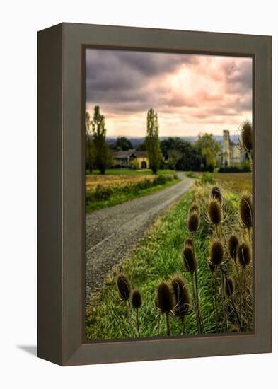 Chateau Tauzia Thistles-Colby Chester-Framed Premier Image Canvas