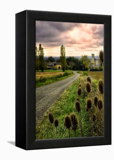 Chateau Tauzia Thistles-Colby Chester-Framed Premier Image Canvas