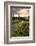 Chateau Tauzia Thistles-Colby Chester-Framed Photographic Print