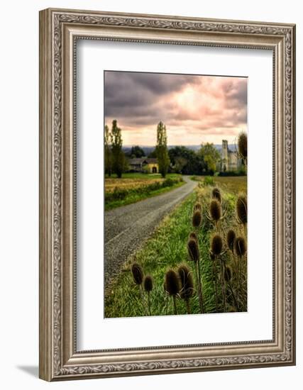 Chateau Tauzia Thistles-Colby Chester-Framed Photographic Print