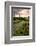 Chateau Tauzia Thistles-Colby Chester-Framed Photographic Print