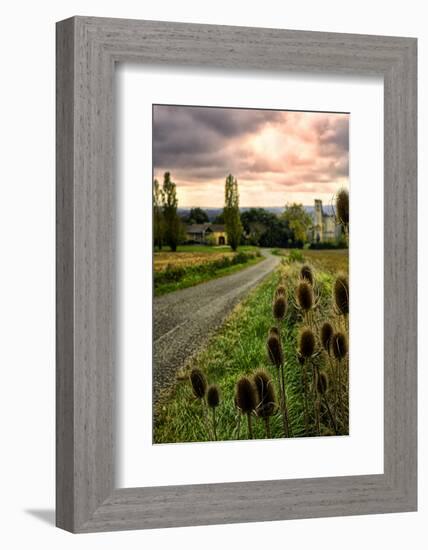 Chateau Tauzia Thistles-Colby Chester-Framed Photographic Print