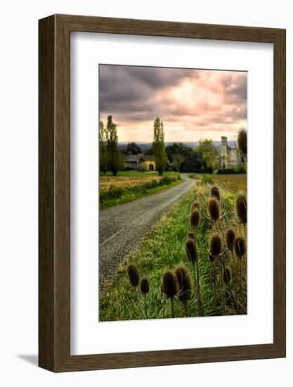 Chateau Tauzia Thistles-Colby Chester-Framed Photographic Print