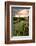 Chateau Tauzia Thistles-Colby Chester-Framed Photographic Print
