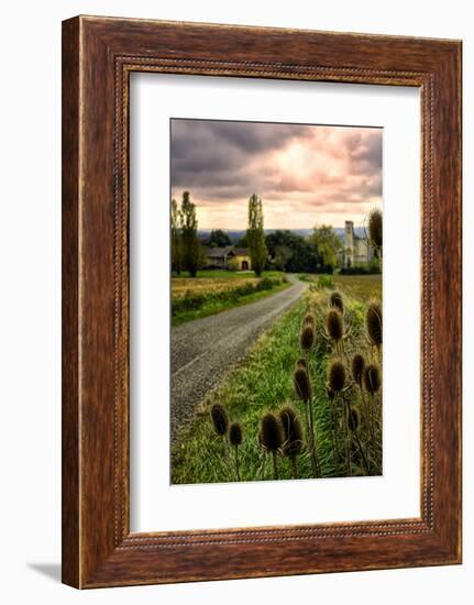 Chateau Tauzia Thistles-Colby Chester-Framed Photographic Print