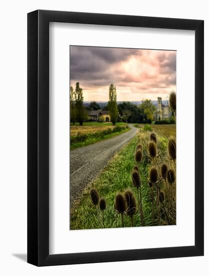 Chateau Tauzia Thistles-Colby Chester-Framed Photographic Print