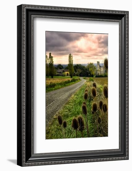 Chateau Tauzia Thistles-Colby Chester-Framed Photographic Print