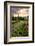 Chateau Tauzia Thistles-Colby Chester-Framed Photographic Print